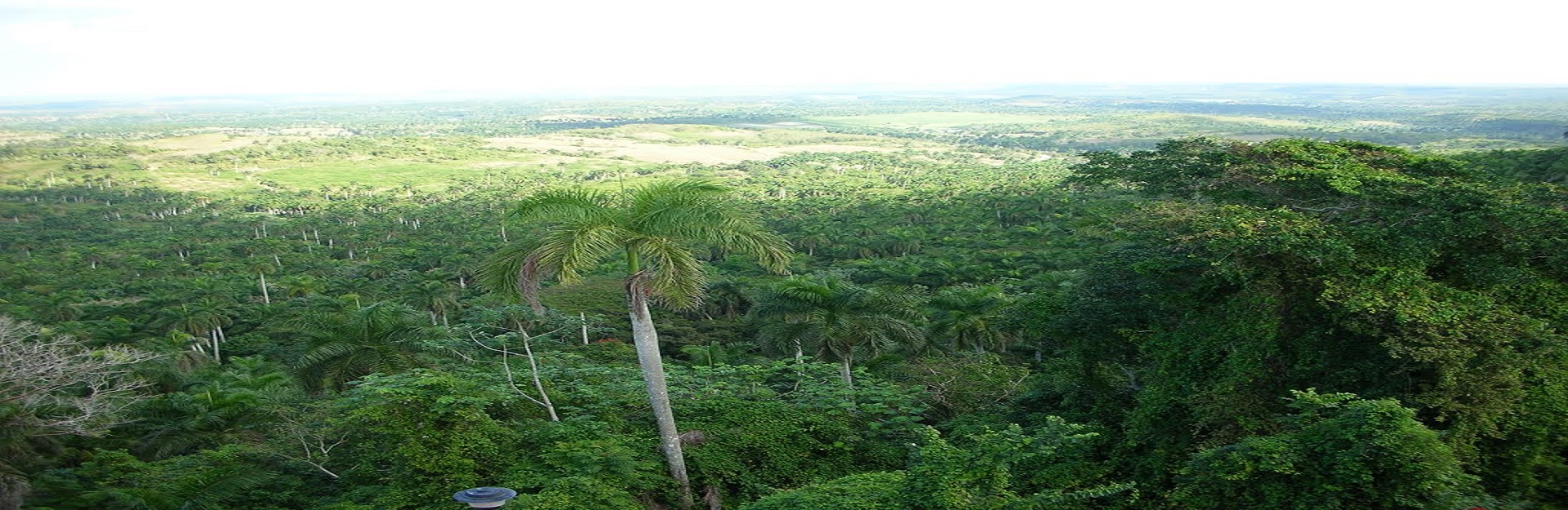 Jaruco´s Stairs Park, Cuba Travel